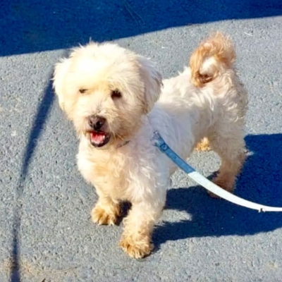 PHOTO-2025-11-28-15-12-08 5