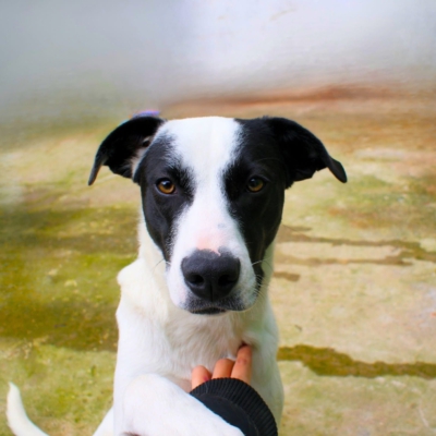 PHOTO-2025-11-28-17-21-40 2