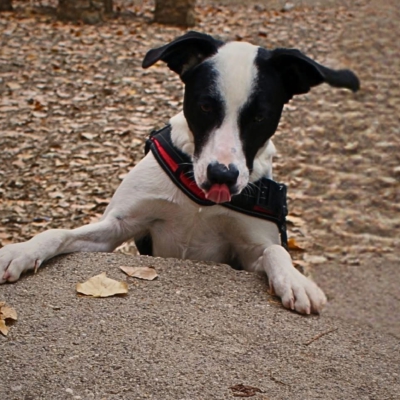 PHOTO-2025-11-28-17-21-40 3