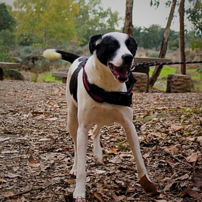 PHOTO-2025-11-28-17-21-40 4