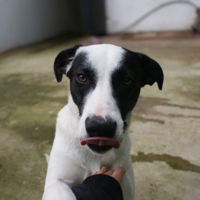 PHOTO-2025-11-28-17-21-40