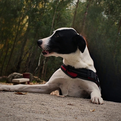 PHOTO-2025-11-28-17-21-40 5