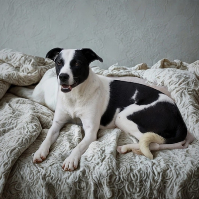 PHOTO-2025-11-28-17-21-40 7