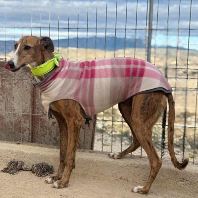 PHOTO-2025-11-29-09-46-39 2