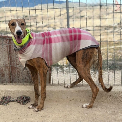 PHOTO-2025-11-29-09-46-39 3