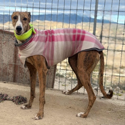 PHOTO-2025-11-29-09-46-39 4