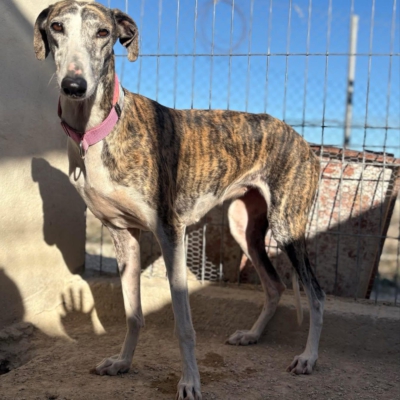 PHOTO-2025-11-29-09-46-40 11