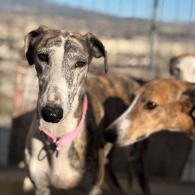 PHOTO-2025-11-29-09-46-40 13