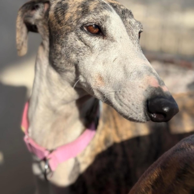 PHOTO-2025-11-29-09-46-40 14