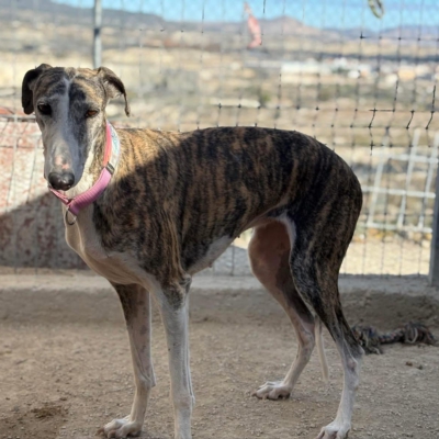 PHOTO-2025-11-29-09-46-40 15