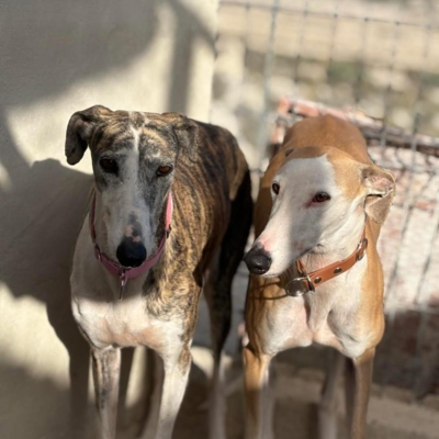 PHOTO-2025-11-29-09-46-40 19