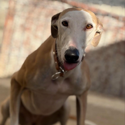 PHOTO-2025-11-29-09-46-40 22