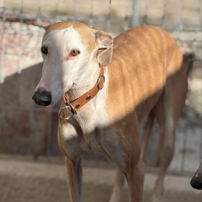 PHOTO-2025-11-29-09-46-40 25