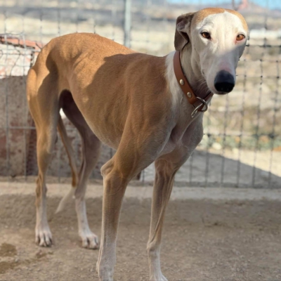 PHOTO-2025-11-29-09-46-40 26