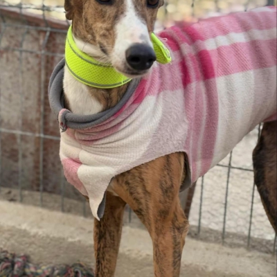 PHOTO-2025-11-29-09-46-40