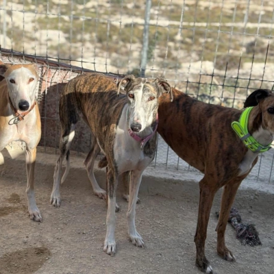 PHOTO-2025-11-29-09-46-40 6