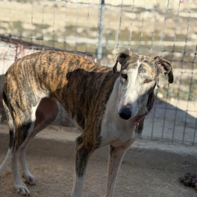 PHOTO-2025-11-29-09-46-40 9