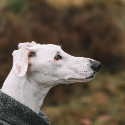 PHOTO-2025-11-30-06-22-07 2