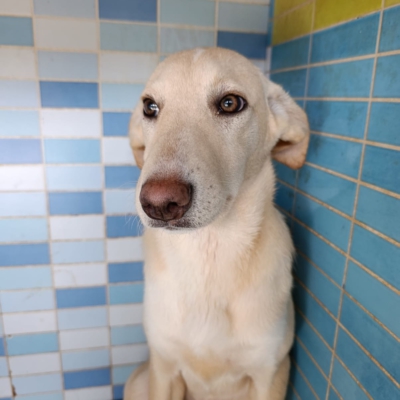 PHOTO-2025-12-07-16-03-52 2