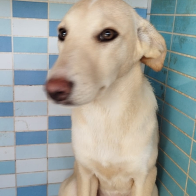 PHOTO-2025-12-07-16-03-52 3