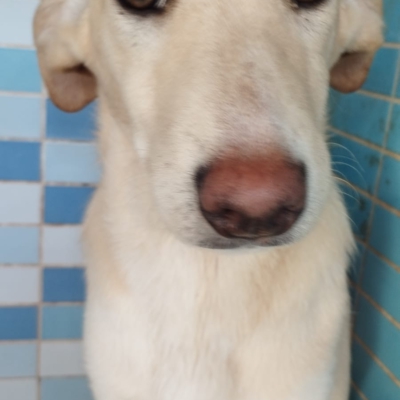 PHOTO-2025-12-07-16-03-52 4