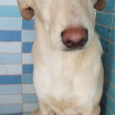 PHOTO-2025-12-07-16-03-52