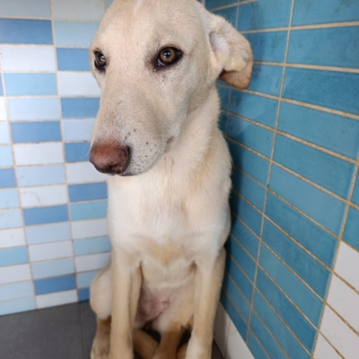 PHOTO-2025-12-07-16-03-52 5