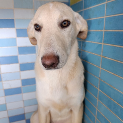 PHOTO-2025-12-07-16-03-53 2