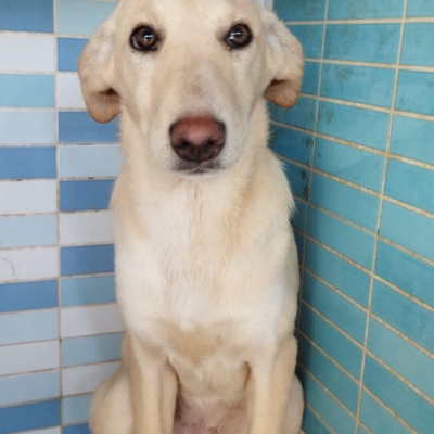 PHOTO-2025-12-07-16-03-53 3