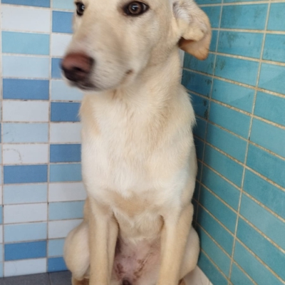 PHOTO-2025-12-07-16-03-53 4