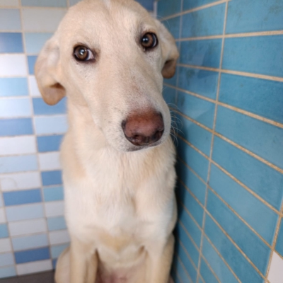 PHOTO-2025-12-07-16-03-53