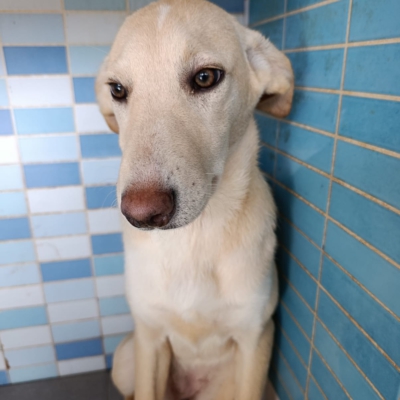 PHOTO-2025-12-07-16-03-53 5