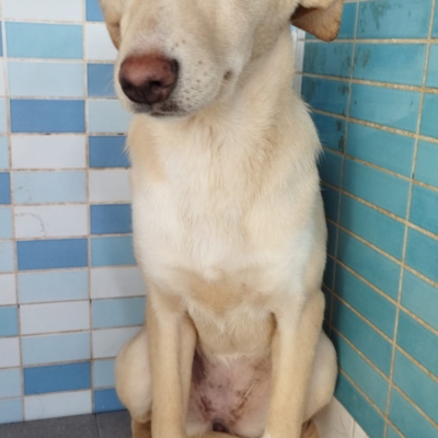 PHOTO-2025-12-07-16-03-53 6