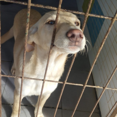 PHOTO-2025-12-07-16-03-53 7