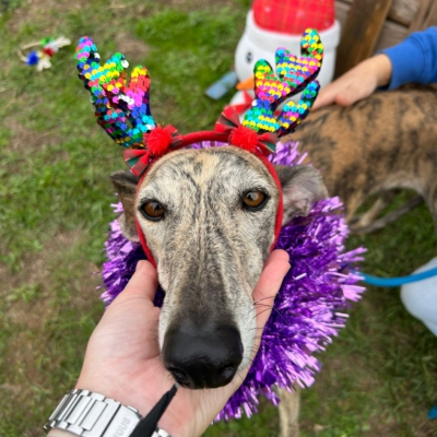 PHOTO-2025-12-13-11-23-12 2