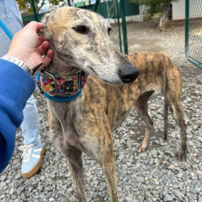 PHOTO-2025-12-13-11-23-12 3