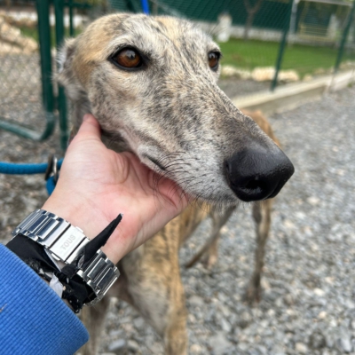 PHOTO-2025-12-13-11-23-12 4