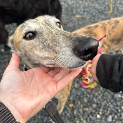 PHOTO-2025-12-13-11-23-12