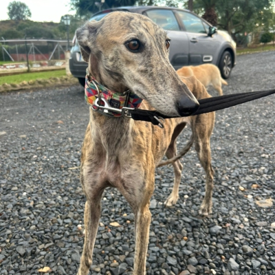 PHOTO-2025-12-13-11-23-13 2