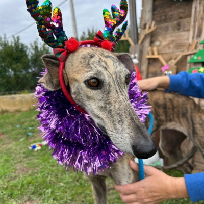 PHOTO-2025-12-13-11-23-13 3