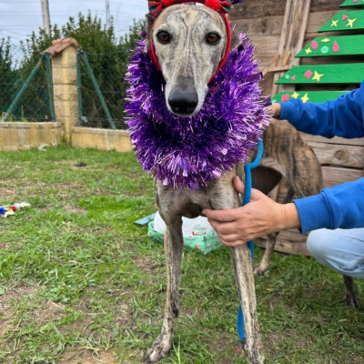 PHOTO-2025-12-13-11-23-13 4