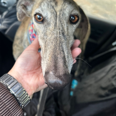 PHOTO-2025-12-13-11-23-13