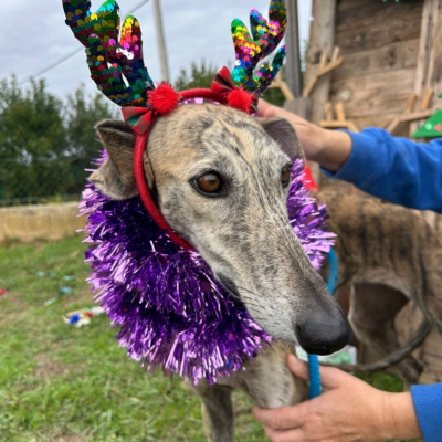 PHOTO-2025-12-13-11-23-13 5