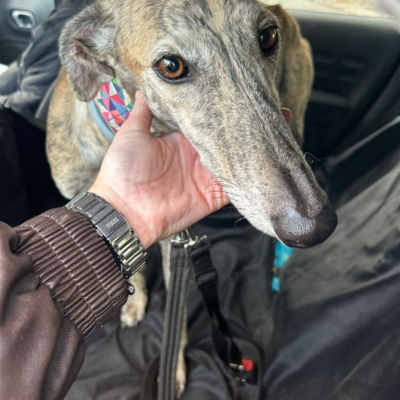 PHOTO-2025-12-13-11-23-13 6