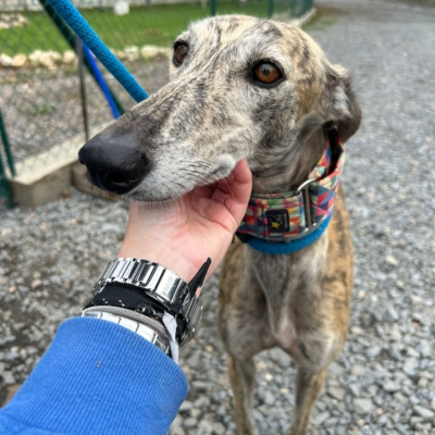 PHOTO-2025-12-13-11-23-13 7