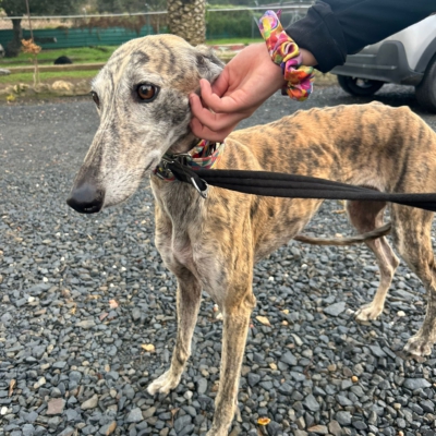 PHOTO-2025-12-13-11-23-13 8