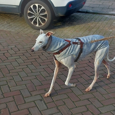 PHOTO-2025-12-13-16-44-14 10