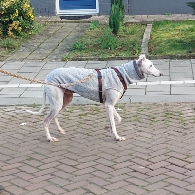 PHOTO-2025-12-13-16-44-14 11