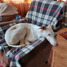 PHOTO-2025-12-13-16-44-14 2