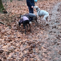 PHOTO-2025-12-13-16-44-14